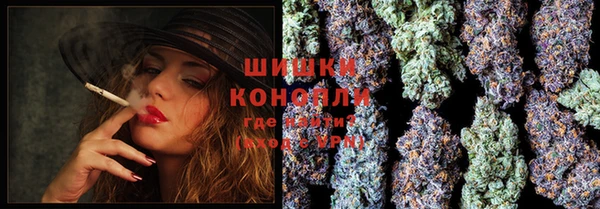 эйфоретик Покачи