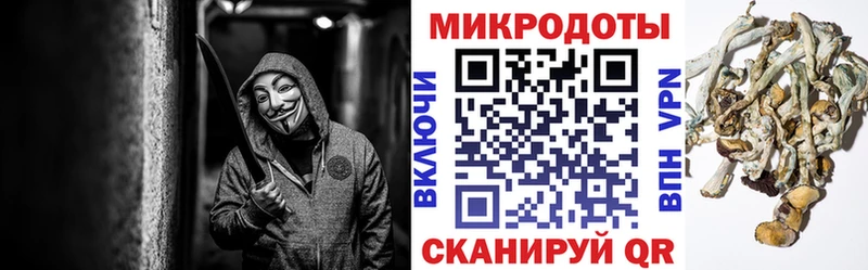 Галлюциногенные грибы GOLDEN TEACHER  сколько стоит  Неман 